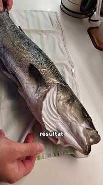 Gros Loup d'Adriatique de 3,2kg - NC85TP - #spearfishing #neocarbone #fishinglife