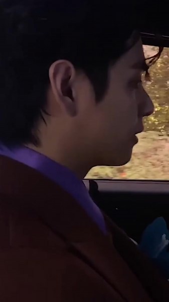 Inside a Luxurious Limousine with BTS Fans