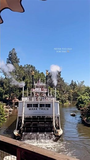 Because the world is too amazing to see in just one way🚢#disneyland #losangeles #disneyfood #Travel