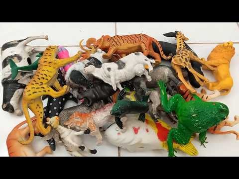 Variety of Wild Animal Toys For Kids! Review and Unboxing Wild Animal Toys Collection