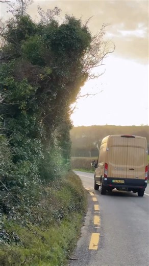 Christmas dip done 🥶✅….with a little help from a ford transit van 🤣💙 Is this cheating? 👀 Ford Motor Company 🤩 | Tadhg Fleming