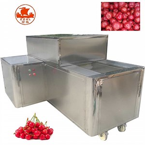 [Hot Item] Cherry Corer Olive Core Apricot Stone Remove Fruit Pitting Machine
