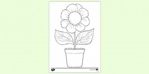 Flower in a Pot Colouring Sheet