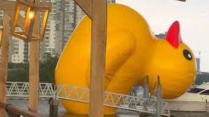 Giant inflatable duck takes flight amid strong winds in Vietnam