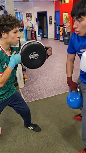 Blue Boy Boxing Club on Instagram: "Sit down on the punches, between these 2 they've stopped their last 4 opponents #blueboyboxingclub #blueboybravehearts"