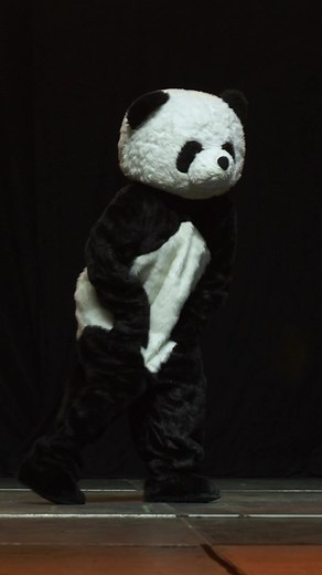 Who is Panda from Dude Perfect? Mystery Revealed!