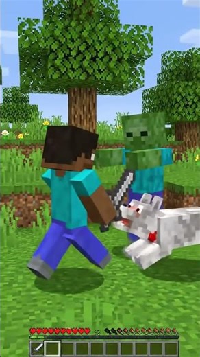 Steve kill zombie but zombie wolf kill almost died Steve