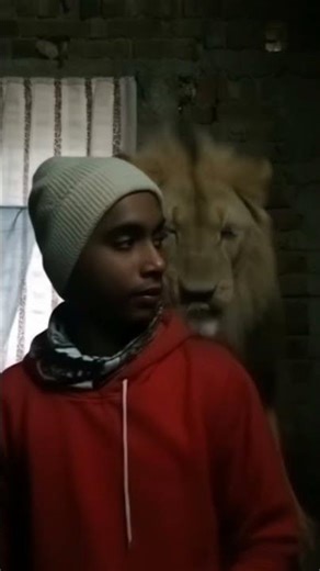 tutorial steampunk filter 😈🥰 #steampunk #tutorial #ai #filter #lion #viral #shorts #video #animals