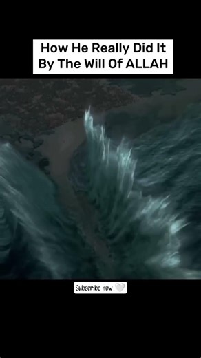 Hoa people think Musa(as)💚