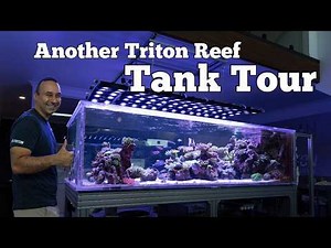 Triton Reef Tank Tour - 1 year later