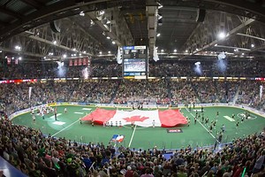 NLL Lacrosse Arenas - Where Every Team Plays! - Lacrosse All Stars