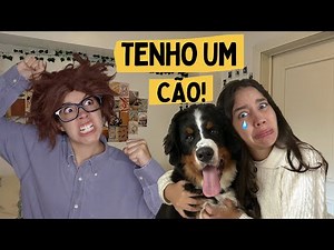 A Realidade de ter um cão...