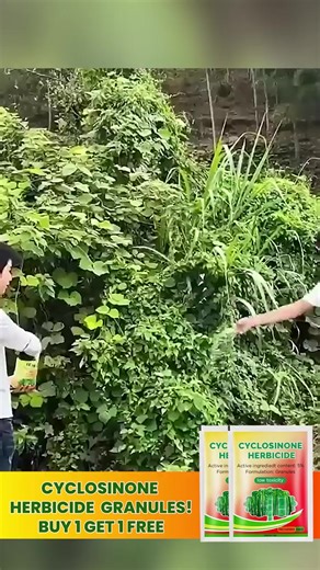 Buy 1 Get 1 Free 🥰 | Buy 1 Get 1 Free