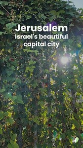 1.9K views · 114 reactions | The flowers in Jerusalem are not just...