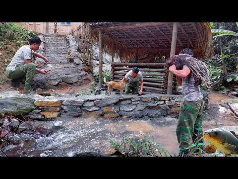 365 Days Alone in the Forest building a primitive farm out of stone | TA Bushcraft