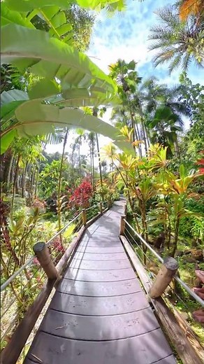Join a Mindful Walk at Hawai‘i Tropical Botanical Garden!
