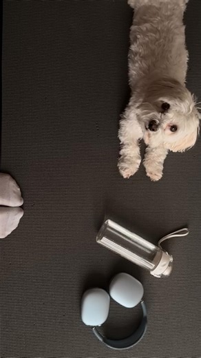 alice l model l odesa on Instagram: "Just a choice 😶‍🌫️ #motivation #psychology #discipline #gymgirl #clearmind"