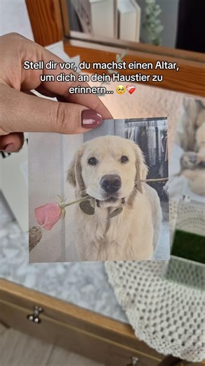 Was, wenn du ihn noch einmal sehen könntest… wie er sich bewegt? 🥺🐾