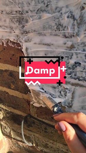 Trying to fix the damp! #stormdry #damp #edwardianhouse #edwardian #renovation #mayonnaise #reno #bricks