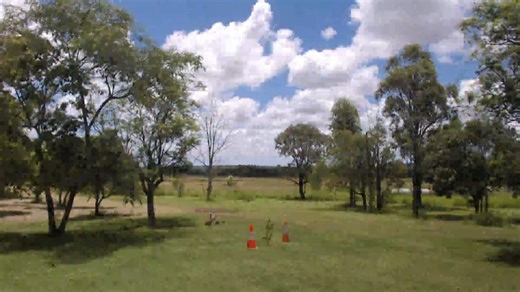 The window on Instagram: "#0280 The Window | #TimeLapseProject | 2026-01-03 | [04/01/2026 0531] - Australia, South East Queensland - Pictures are taken on a Raspberry Pi 3B+ using a USB Logitech C925e [HD 1080P] Webcam. A Python program was wrote to take a picture every 30 seconds and the time lapse video is created using a python script using OpenCV. #thewindow #timelapseproject #australiagram #seq #southeastqueensland #raspberrypi #pythonprogramming #opencv #kaimkillenbun #sunrisephotography #