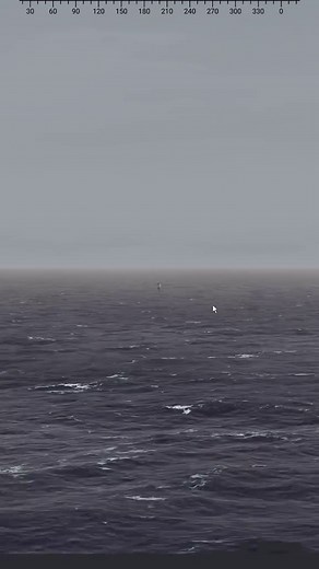Unexpected Sonar Contact: A Naval Encounter
