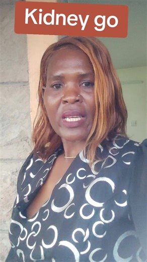 Exploring the Kidneys: A Comprehensive Guide