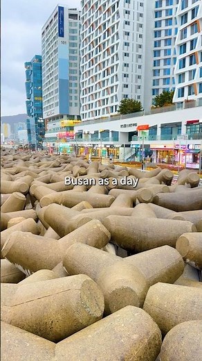Busan One Day Trip #busantrip #busantravel #busanrestaurant