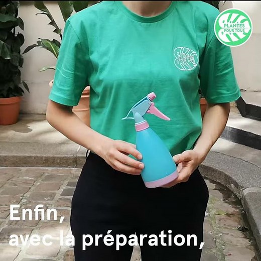 Comment traiter mes plantes contre les cochenilles ? 🌺