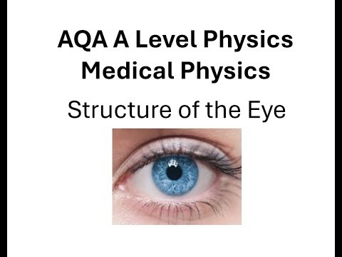 AQA A Level Physics: Medical Physics: The Structure of the Eye