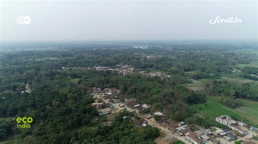 3.3K views | Eco India: Why Noida's smart villages are proving to be not so smart after all How is Kashmir trying to protect its iconic Chinar trees? And what's gone wrong with Noida's smart villages? Problems include outbreaks of waterborne diseases. Plus: the benefits of integrated farming in Tamil Nadu, and a clinic for injured wildlife in Spain. | Scroll | Facebook