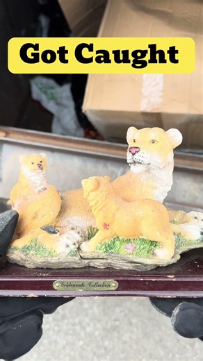 Very good find today with these angels, glad they found a better home #dumpsterdiving