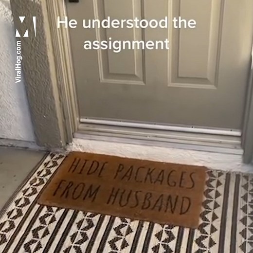 61K views · 676 reactions | Incredible footage of an Amazon delivery driver who *truly* understood the assignment  via ViralHog | Metro | Facebook