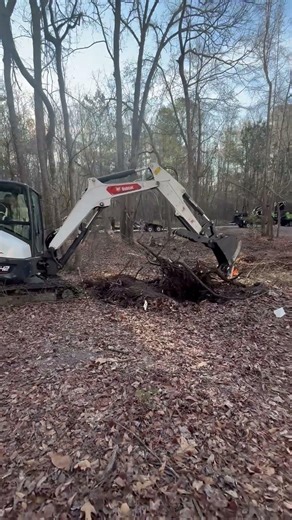 How to clear small tree stumps?… #stumpremoval #landclearing