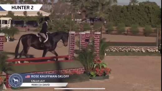 20 reactions | Adorable *Ipop* jumps to 3rd in a big class of 3’ Greens on day 1. This horse is a joy to work with & 100% ready for his next person - novice friendly, brave, auto change, no prep etc the list goes on & on. Would be the ideal “first horse” type to take a beginner up to the 3’ & National Derbies. 7yr old gelding, coming 8. Available for trials at Sunshine, contact me for more info  | Alexis Taylor | Facebook