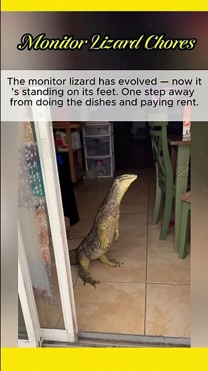 Monitor Lizard Chores