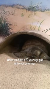 1.2M views · 971 reactions | I mean, he was around for it.... (Gus...