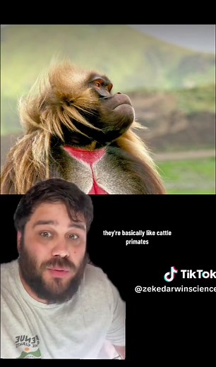 Zeke Darwin on TikTok