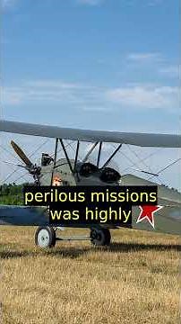 Why the Night Witches used wooden biplanes to terrorize the Nazi Eastern Front camps #ww2 #history