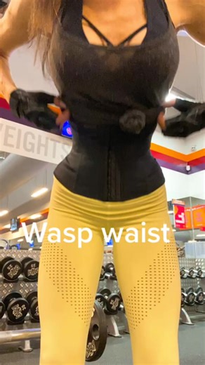 Wasp waist 🦟 #slimwaist #waist #fit #iffbbproleague #amateurolympiasouthamerica #npc #gymergirl #boom