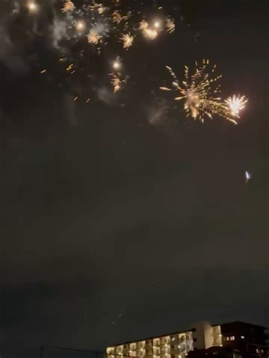 清水 勇人【公式】 on Instagram: "【みんなの笑顔が咲いた夜🎆大砂土東小学校の分校特別イベント】 見沼区では、来年４月に市立大和田小学校が新たに開校します。 これに伴い、大砂土東小学校の児童の皆さんは、来春から大和田小と大砂土東小の２つの学校に分かれて学ぶことになります。 この日は、「子どもたちのために最高の思い出をつくろう」と大砂土東小学校ＰＴＡの皆さんが特別イベントを企画してくださいました。 校庭には児童や保護者、大砂土東小の卒業生や地域の方々など約２０００人が集まり、音楽と光のショー、そして夜空を彩る花火に大きな歓声が上がりました。 私も皆さんと一緒に、笑顔と感動の時間を過ごしました。 花火点灯式では私から、２つの学校に分かれた後も、大砂土東小でともに学んだ日々や、この学校の良さを大切にしてほしいとお伝えしました。 夜空を彩った花火のように、子どもたち一人ひとりが明るい希望を胸に、それぞれの学校で伸びやかに成長していってほしいと願っています。 ＰＴＡや保護者の皆さまをはじめ、青少年育成大砂土東地区会、自治会や地域の皆さまが力を合わせて子どもたちを支え