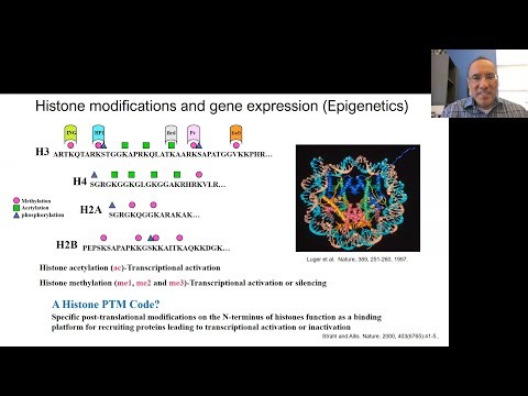 Ben Garcia: Quantitative Proteomics for Understanding Epigenetic Cancer Mechanisms