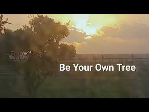 Releasing Family Codependency Meditation: Be Your Own Tree Meditation