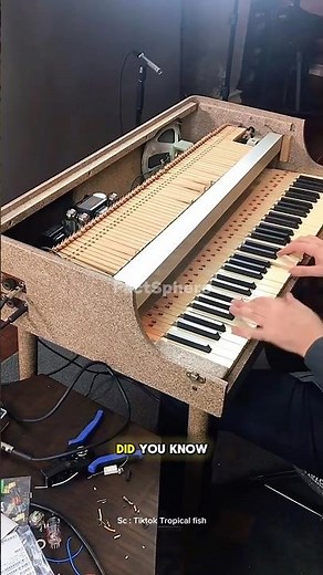 The Hidden Mechanism Inside Every Piano Will Blow Your Mind! #shorts #piano