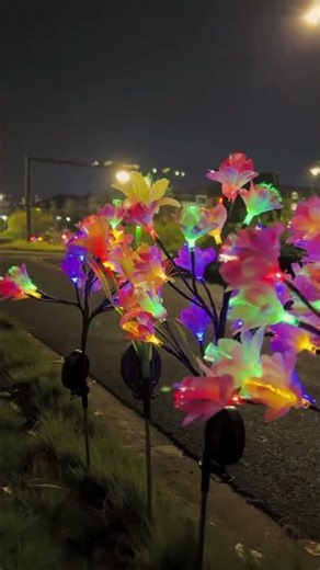 Solar Sensor Light That Turns On Like Magic