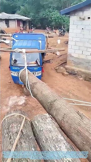 Leveraging Logs: A Village Rope-and-Timber Crane in Action