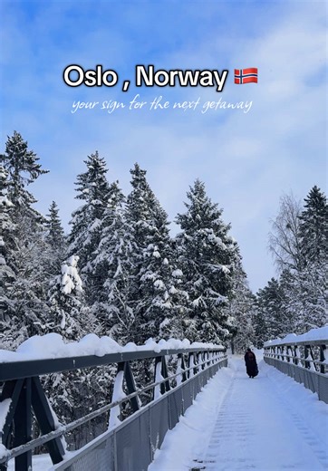 Your sign for the next getaway 📍Oslo 🇳🇴❄️#oslo #visitoslo #norway