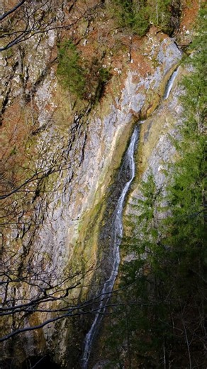Crystal Clear Mountain Spring | 4K Relaxing Water Flow | Pure Nature Sounds