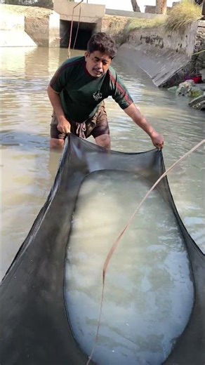 Dhurandhar akshaye khanna entry fa9lasong#dhurandhar#akshayekhanna#viral#trending