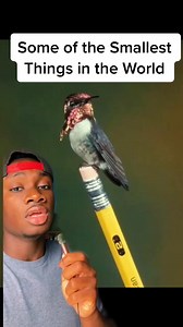 #funfacts #nature#animals | Casual Geographic