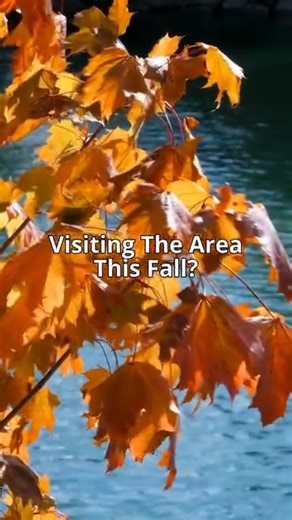 101 reactions · 4 comments |  Stay Smart, Travel Easy This Fall!...